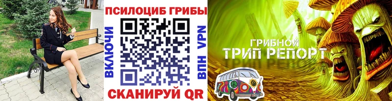 Псилоцибиновые грибы ЛСД  ОМГ ОМГ зеркало  Красноярск 
